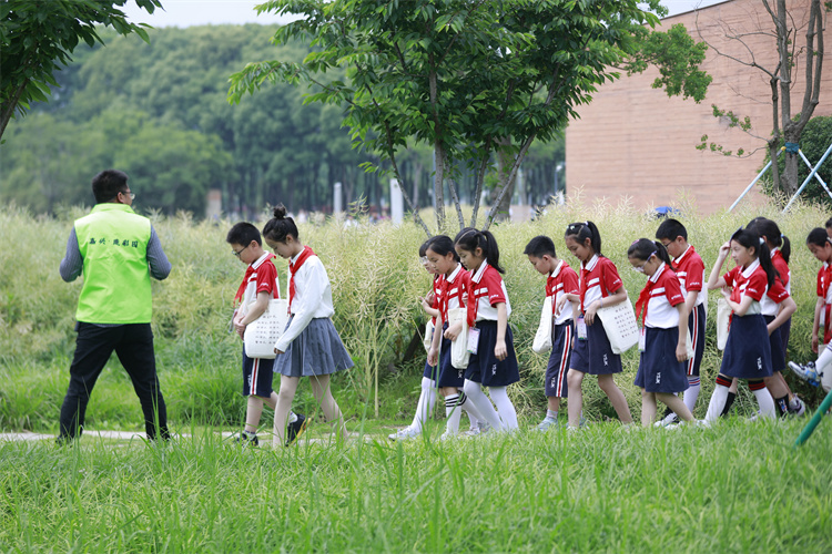 C6.JPG