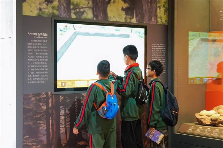 图片7.JPG