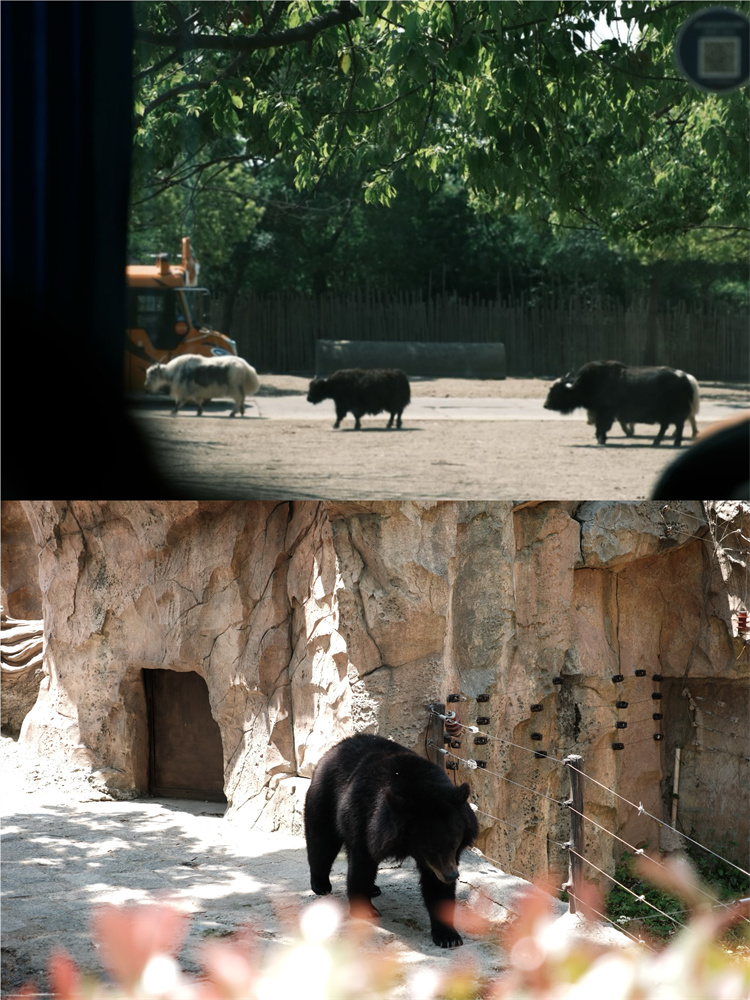 图6.JPG