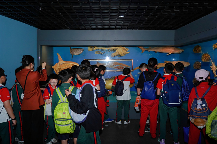 图片10.JPG