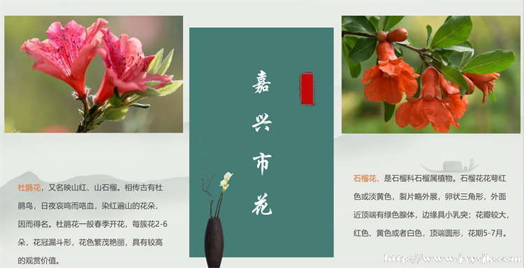 图25.png
