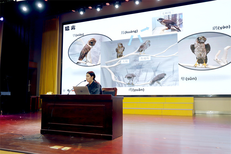 图19.JPG