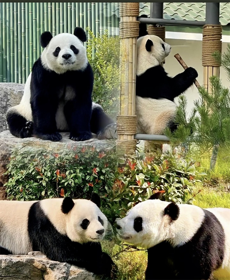 图22.JPG